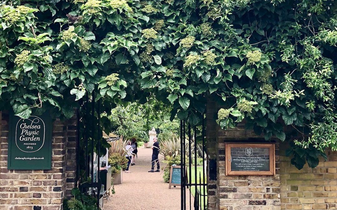 Chelsea Physic Garden, London, United Kingdom
