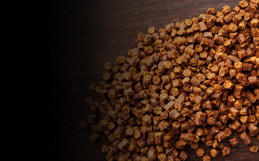 Did bees invent bread?