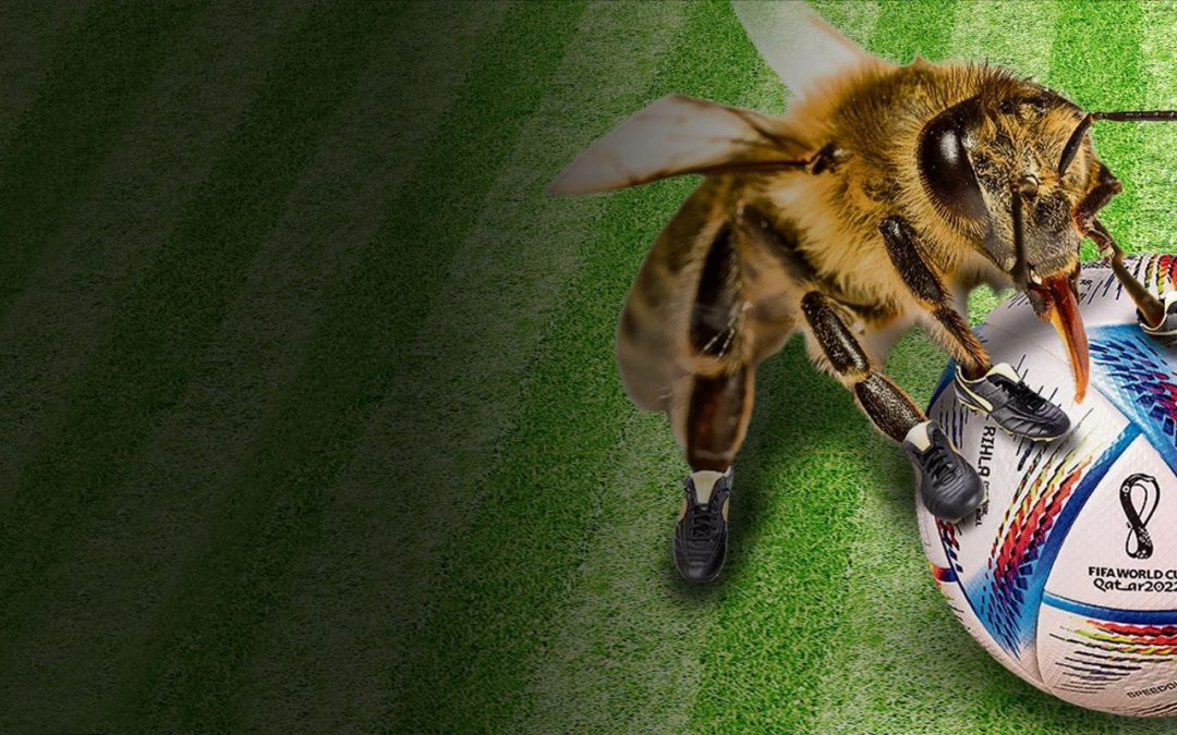 Can bees play soccer?