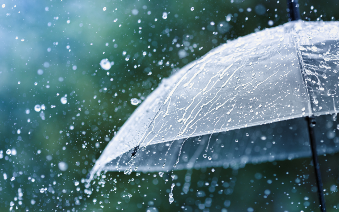 The Growing Risks of Variable Rainfall Caused by Climate Change