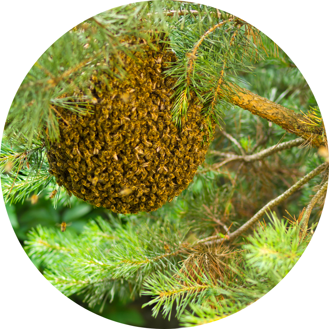 renewable energy investment